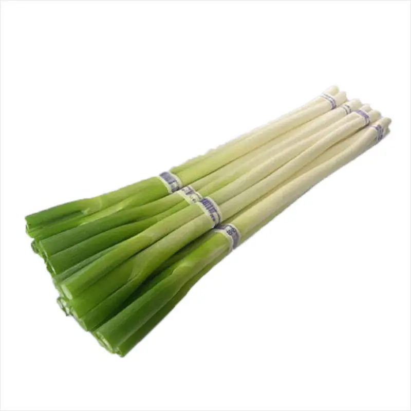 
Wholesale good quality IQF Certification frozen spring onion 
