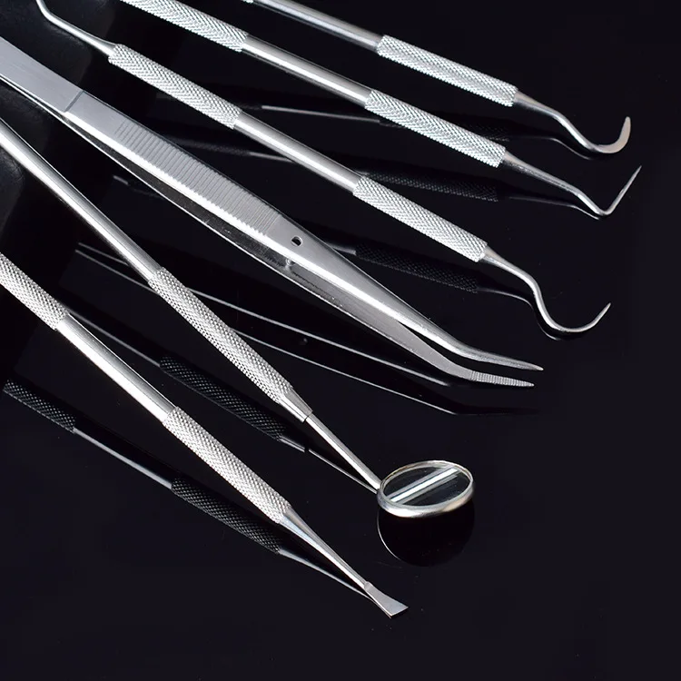 Wholesales High-end Stainless Steel  Professional Beauty Personal Care Dental Hygiene Kit for Home Use Tools