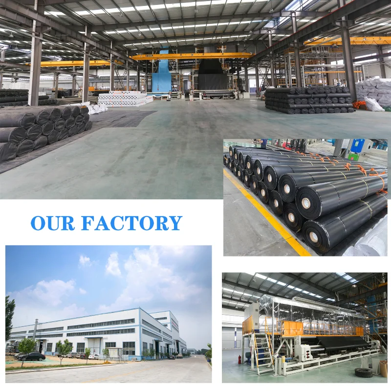 HDPE Plastic Paver Grid Geocell PP Material for Outdoor Use with Factory Price 3D Model Design Solution