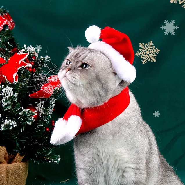Dog Hat and Scarf Christmas Set, Stylish Red Christmas-themed Pet Accessories for Dogs and Cats