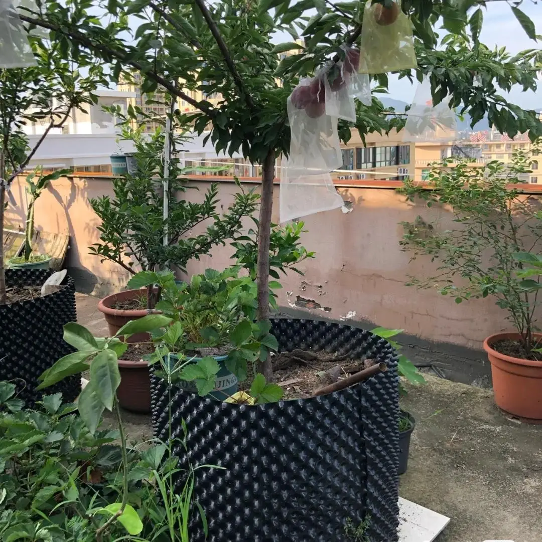 high quality Cylindrical plastic flower pots new durable double colors air roots pruning pots