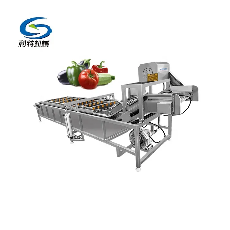 Factory Price Blower Bubble Coriander Fruit Washing Peeling Washer Celery Vegetable Washing Machine