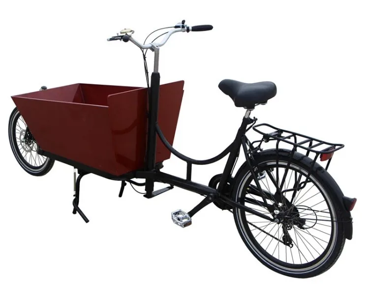 Fast Delivery Time Two Wheel Cargo Bike for Carring Baby