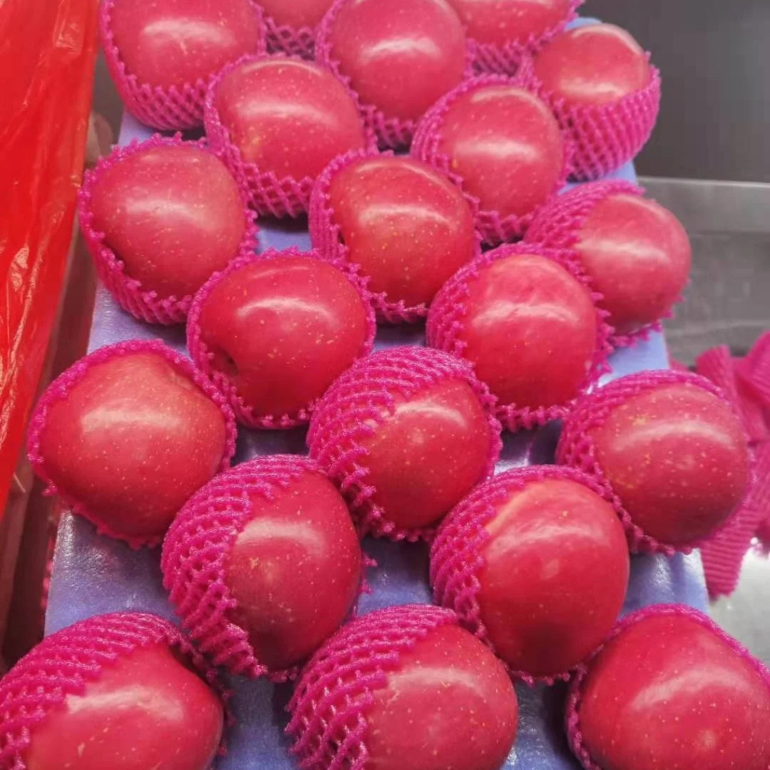 Полноцветное китайское яблоко FUJI