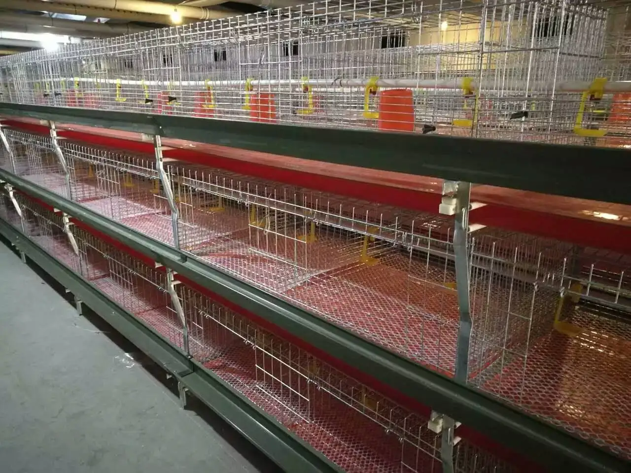 H type 3 tires Animal cages Broiler chicken cage Chicken farming