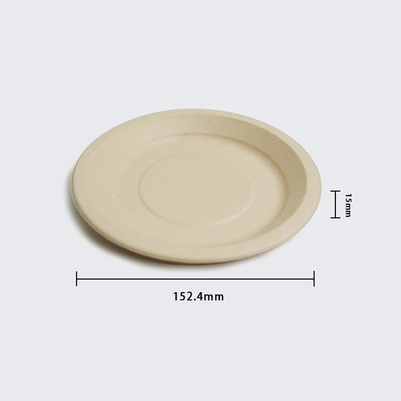 Biodegradable Disposable Bamboo Fiber Paper Pulp PET/PLA/PP Material round Food Box Plates with Lid Parties Catering Restaurants