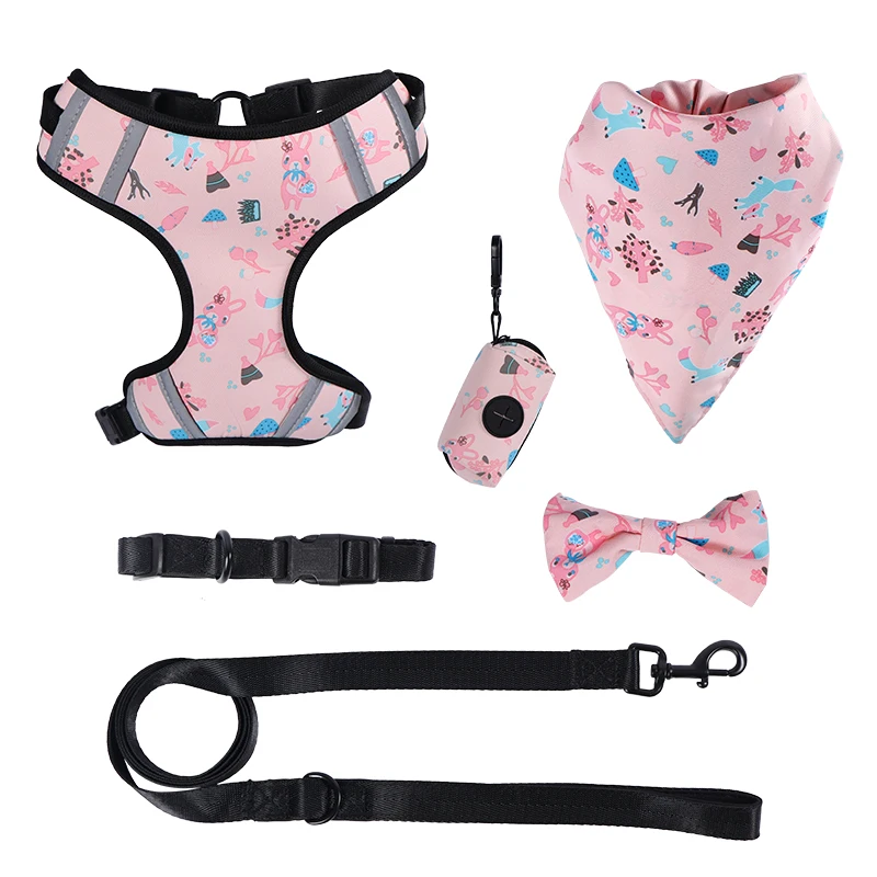 Fondopet Custom personalized luxury pet Dog harness set with leash