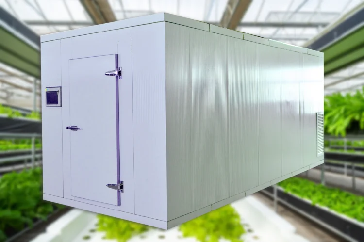 container plant (1).png