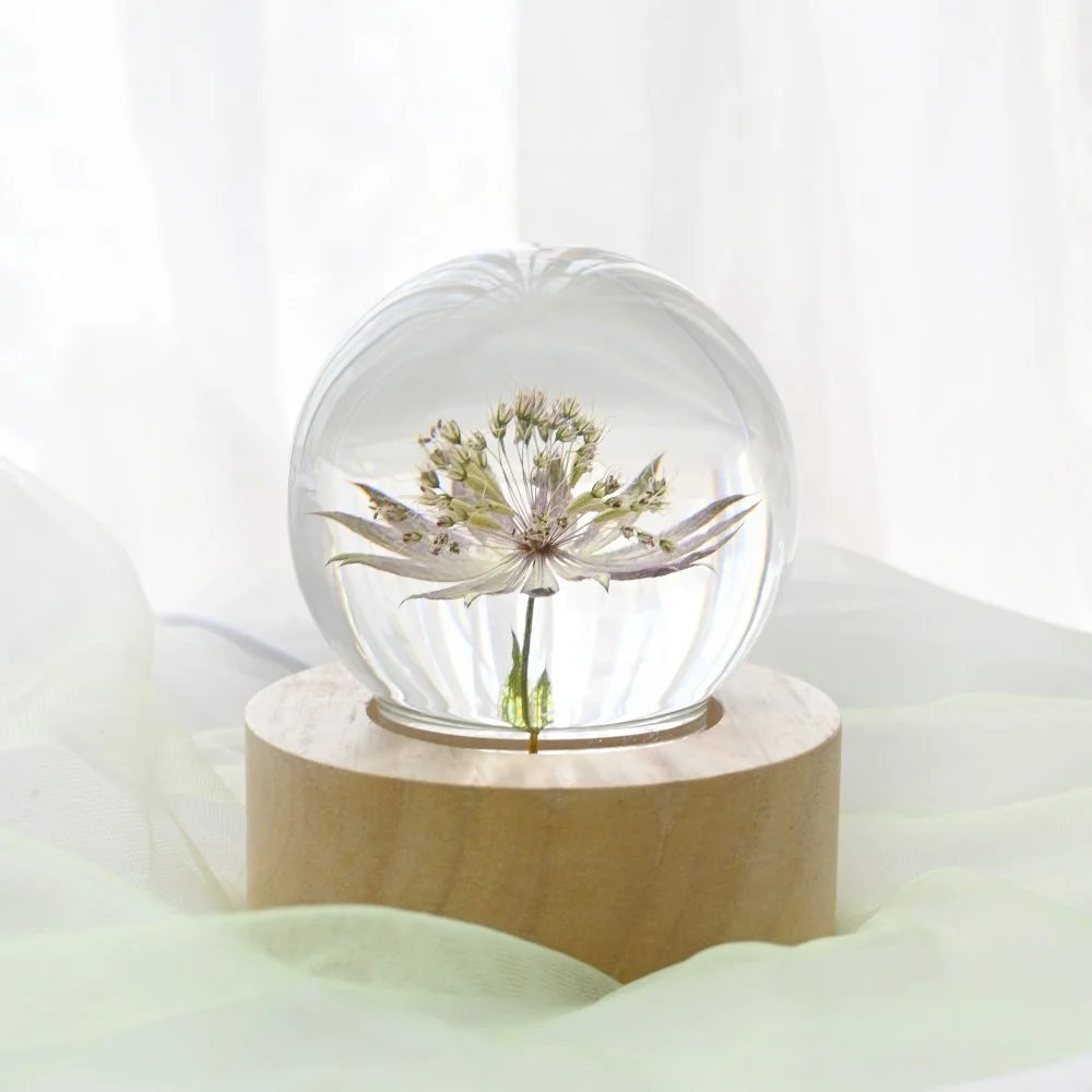 Customizable Gift Tiktok Trending Products Cool Gadgets Real Flower Globe Light Business Ideas For Online Business