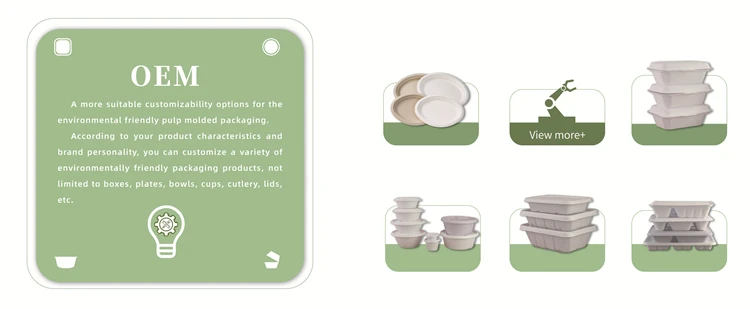 Good Quality Biodegradable Food Trays  Bagasse Disposable Supermarket Fruit Tray Paper