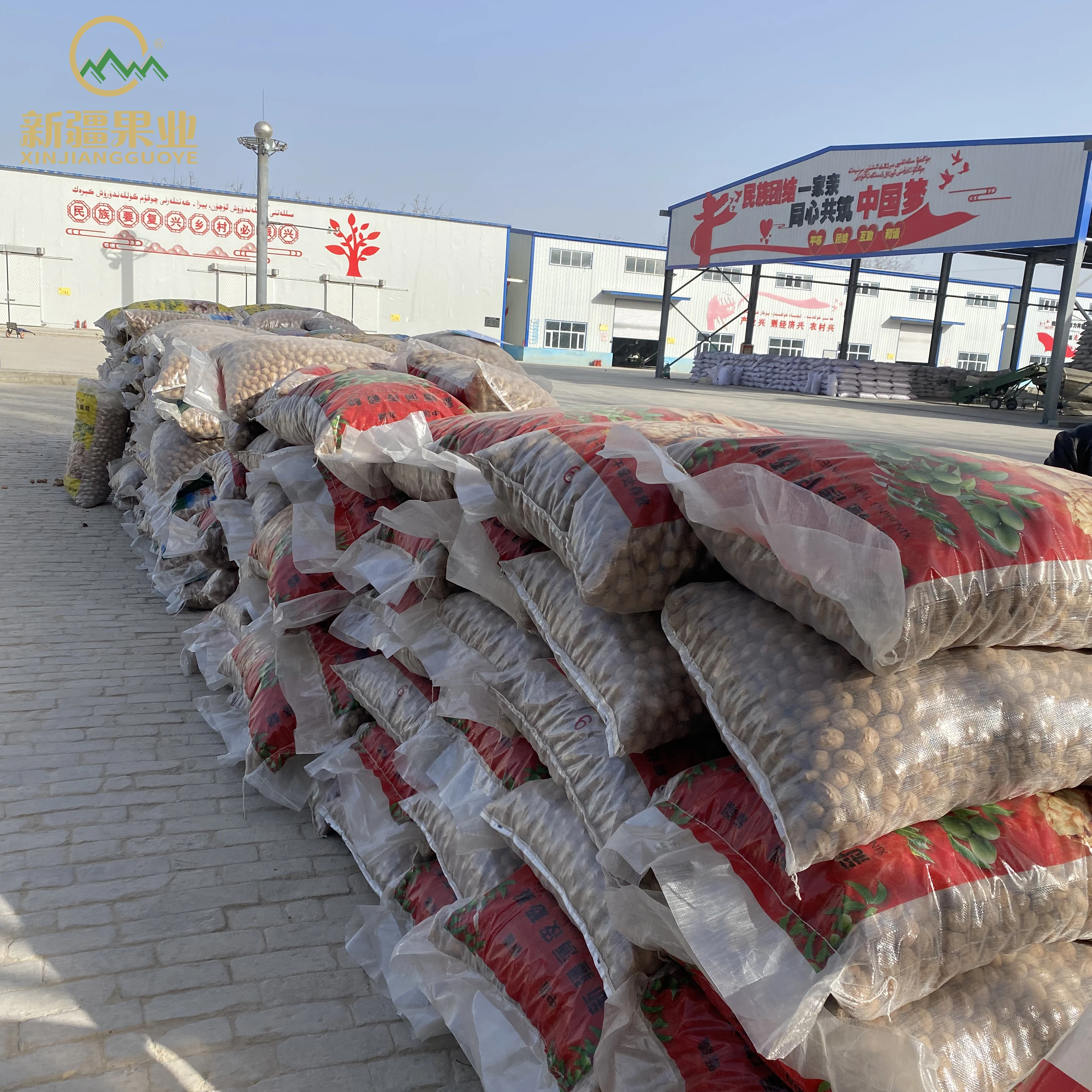 Good price 2021 new crop Xinjiang chinese walnut inshell Dahuo Zhonghuo 32mm+ 36mm+ walnut 185