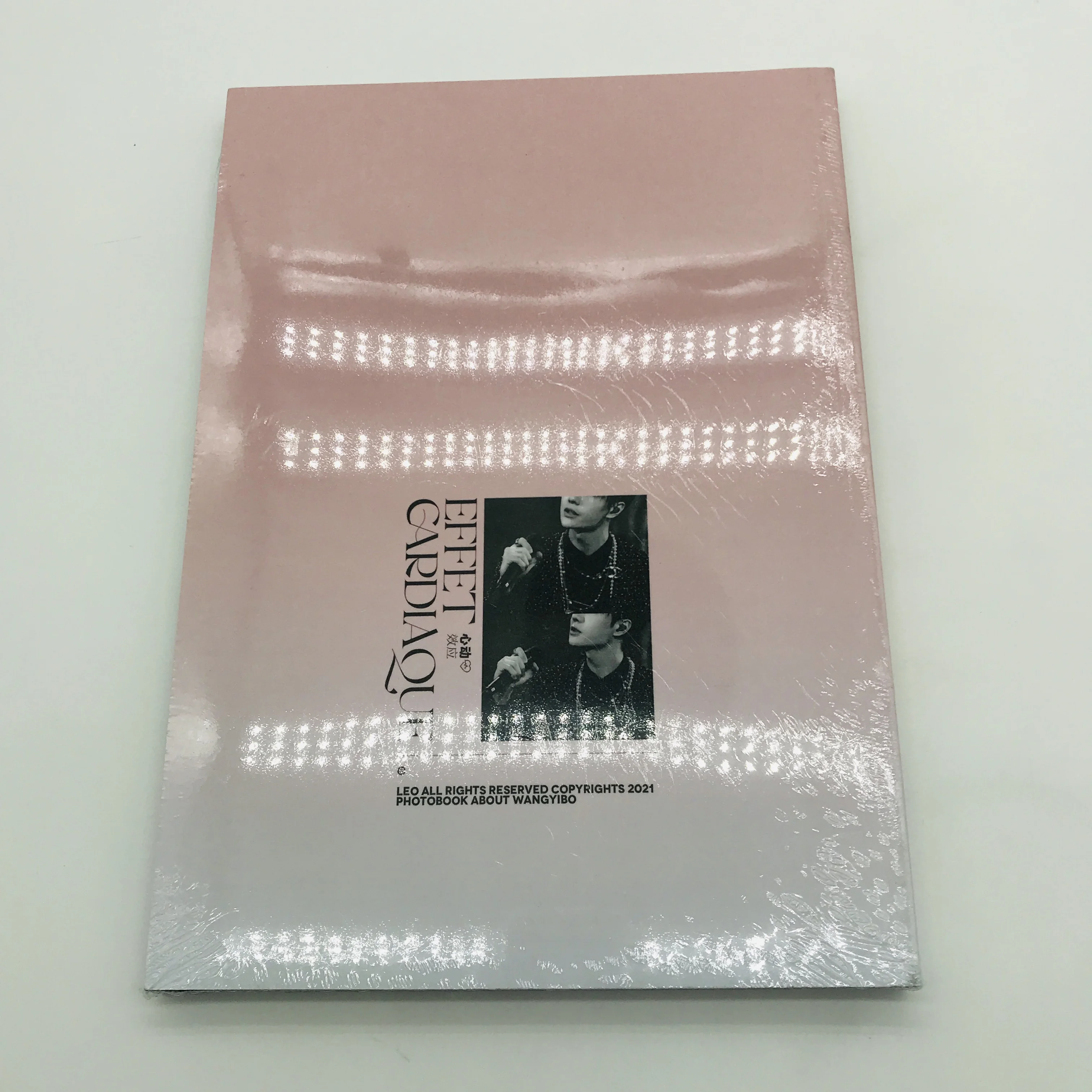 SM-YB179 Customized company promotion and introduction professional catalog Catalogue