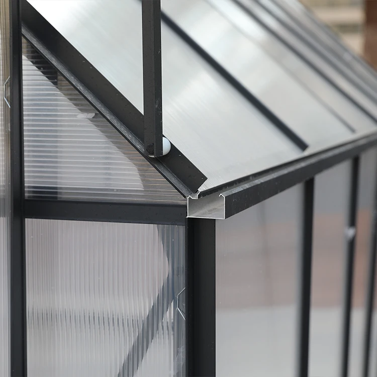 Hot Sale Polycarbonate Green Houses Aluminum Frame House Other Greenhouses Garden Greenhouse