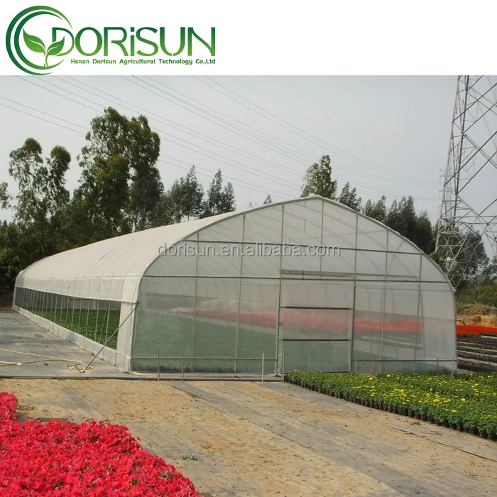 8x30m Agriculture Tomato Greenhouse Frames Plastic Film Single Span Tunnel Greenhouses
