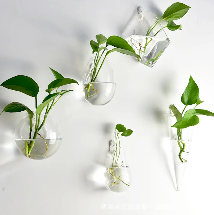 wall hanging glass vase glass hanging terrarium