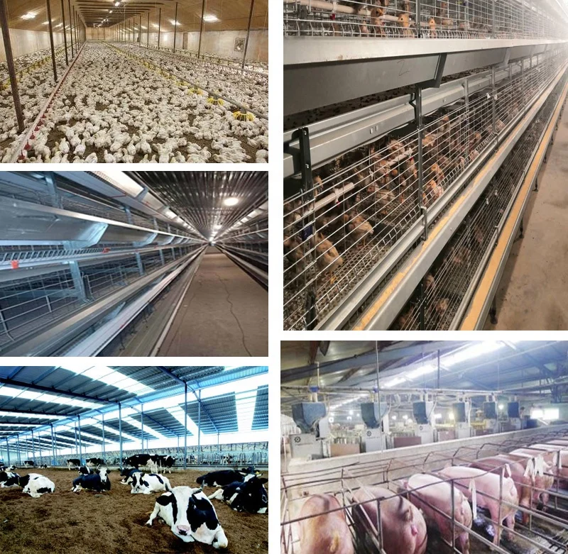dc48v T8 T12 poultry farm led tube lighting ip67 IP69K led livestock lights for poultry house