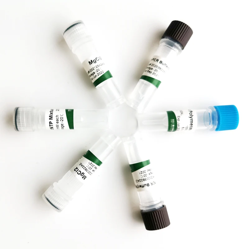 Factory price ultra high fidelity taq dna polymerase(without Mg2+) polymerase chain reaction test