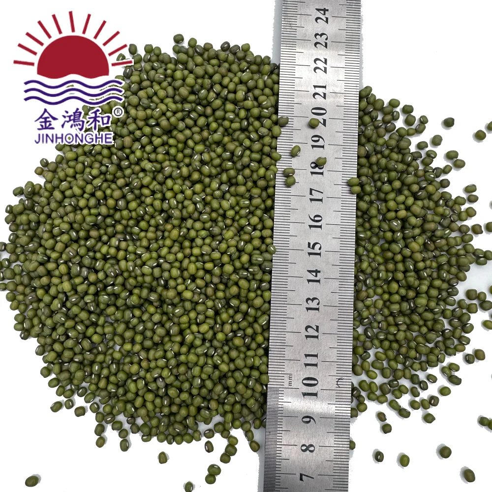 Top Selling Good Price Wholesale Multi-purpose  Beans Nutrient Sprouts Dried Green Sprouts