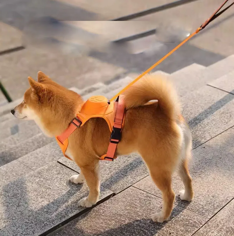 pvc dog leash lead
