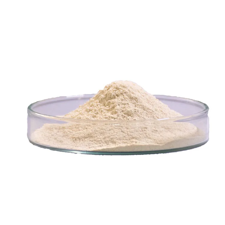 Top Quality High Grade Animal Probiotics Feed Additive Wholesale Price
