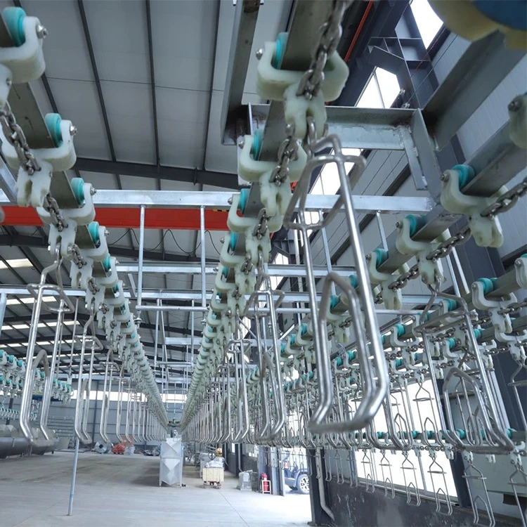
Semi-automatic abattoir equipment poultry processing equipment chicken 