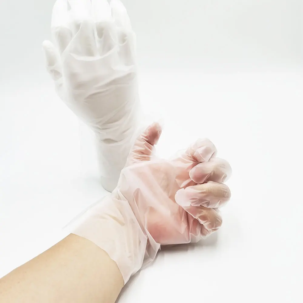 Disposable Plastic Gloves Tpe Plastic Glove