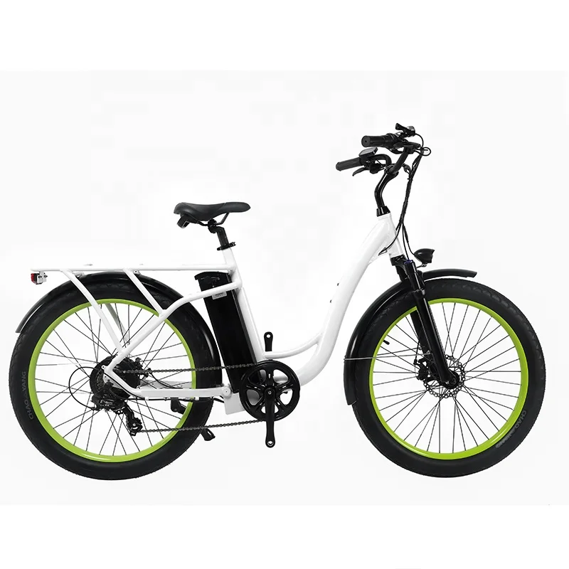 best seller of ebike conversion kit 26 inch 750w R11 watts ebike dirtbike mid drive ebike 750w