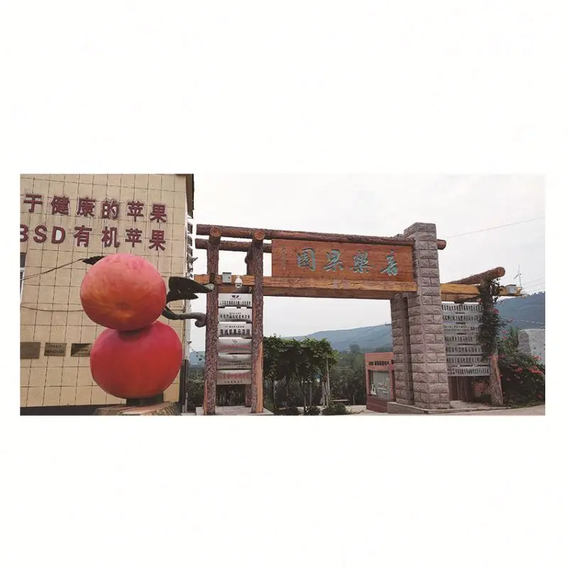 Manufacturer Wholesale Boutique Packaging Crunchy And Juicy Fruit Organic Red Fuji Apple