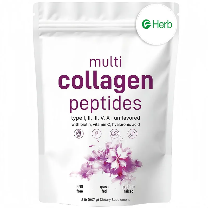 OEM Micro Ingredients Multi Collagen Protein Powder, 1 Pound Type I,II,III,V,X with Biotin, Hyaluronic Acid
