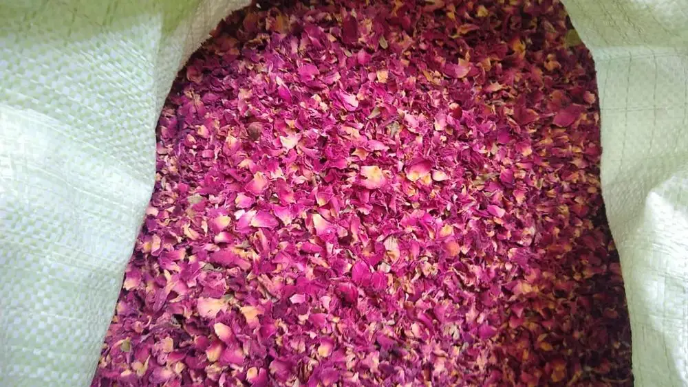Dried Rose Petals / Pakistani Rose petals / Pure Rose petals