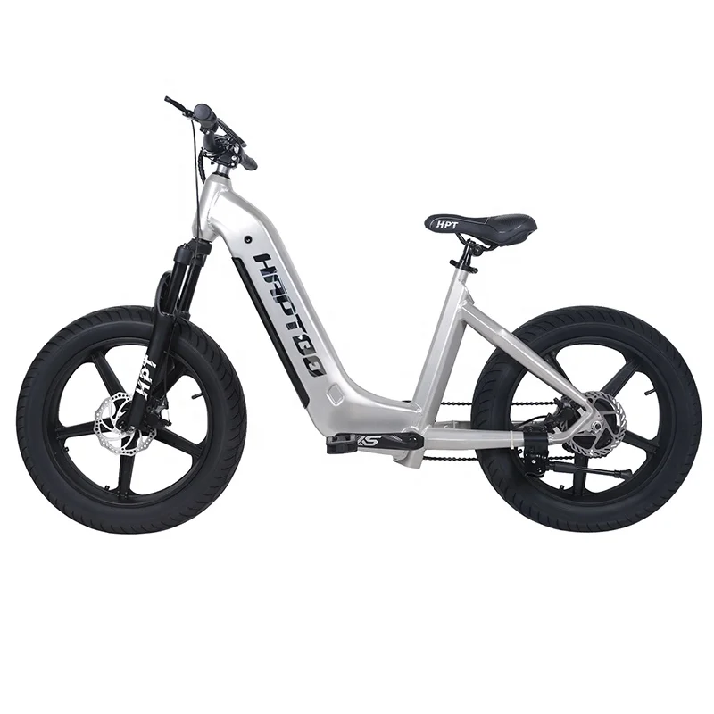 Chinese electric bicycle 20 Inch Fat Tire Electric Dirt Bike 750w Powerful Mountain cheap electric bike cheap bicycle