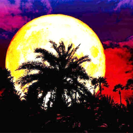 Latest Huacan 5d Diamond Art Painting Kits Landscape Wholesale Diamond Mosaic Full Moon Modern Fashion