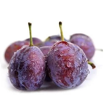 Advantageous price 100% natural fresh stone fruit class A Australian fresh plum
