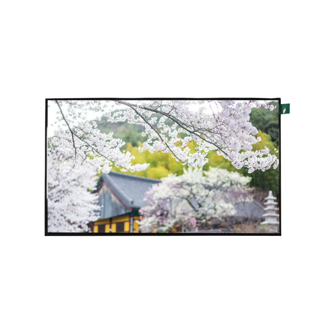 High brightness 1200nits 40Pin LVDS IPS LCD Display 10.1 inch 1920*1080 LCD module