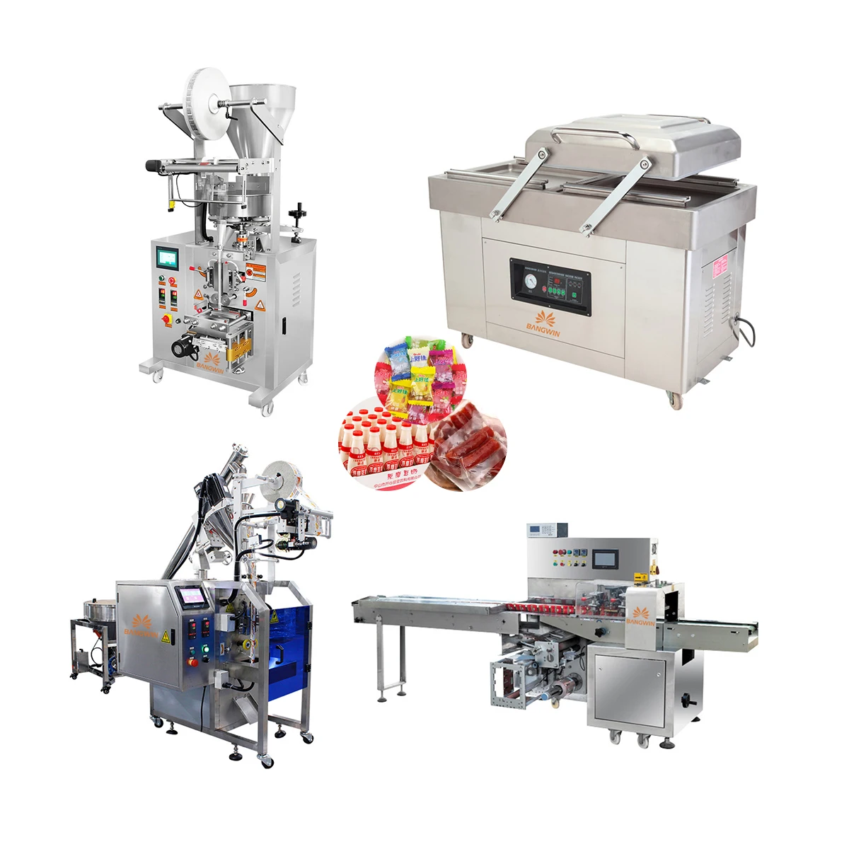 BW-SD premade big bag chicken powder packing machine