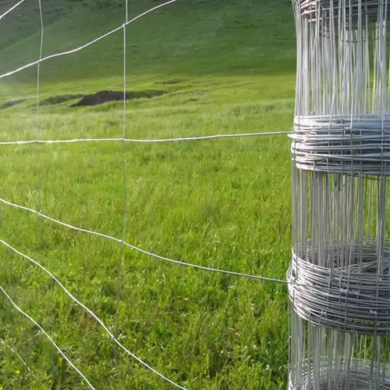 Fixed Knot Woven Wire Field Fence Roll Goat Hog Deer Livestock Fencing Wire Mesh Galvanized Sheep Horse Cattle Game Farm Fence