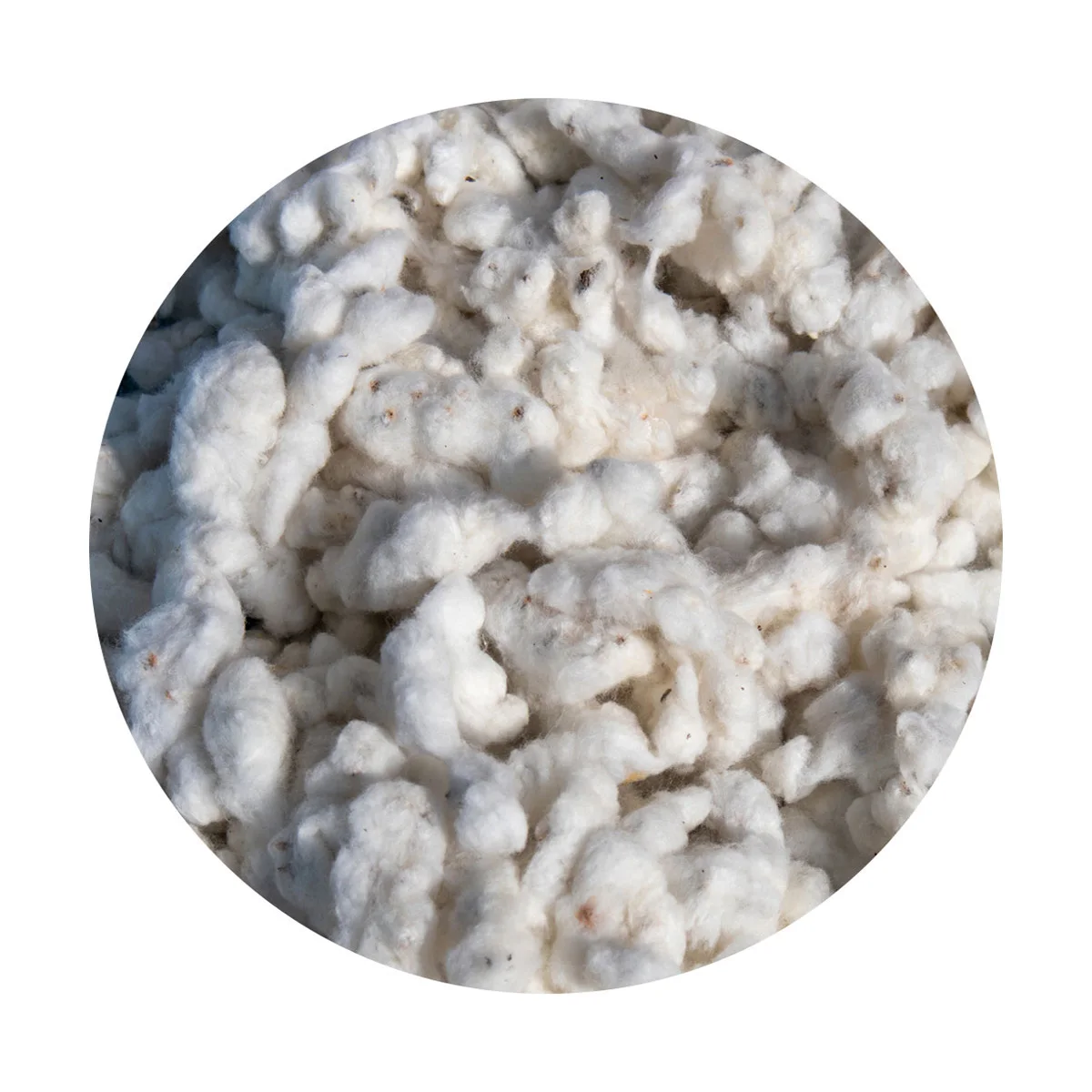 Raw cotton natural filling material great quality wholesale raw cotton