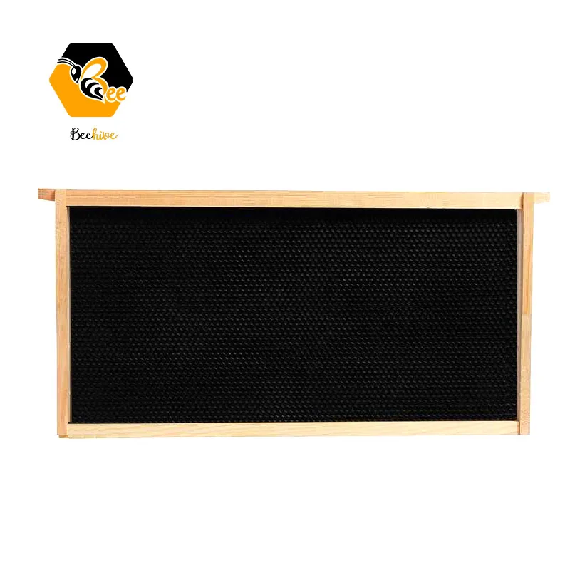 Beehive Frames and Plastic Foundations for Deep Brood Bee Hives with Wooden Bee Hive Frames and Plastic Foundations