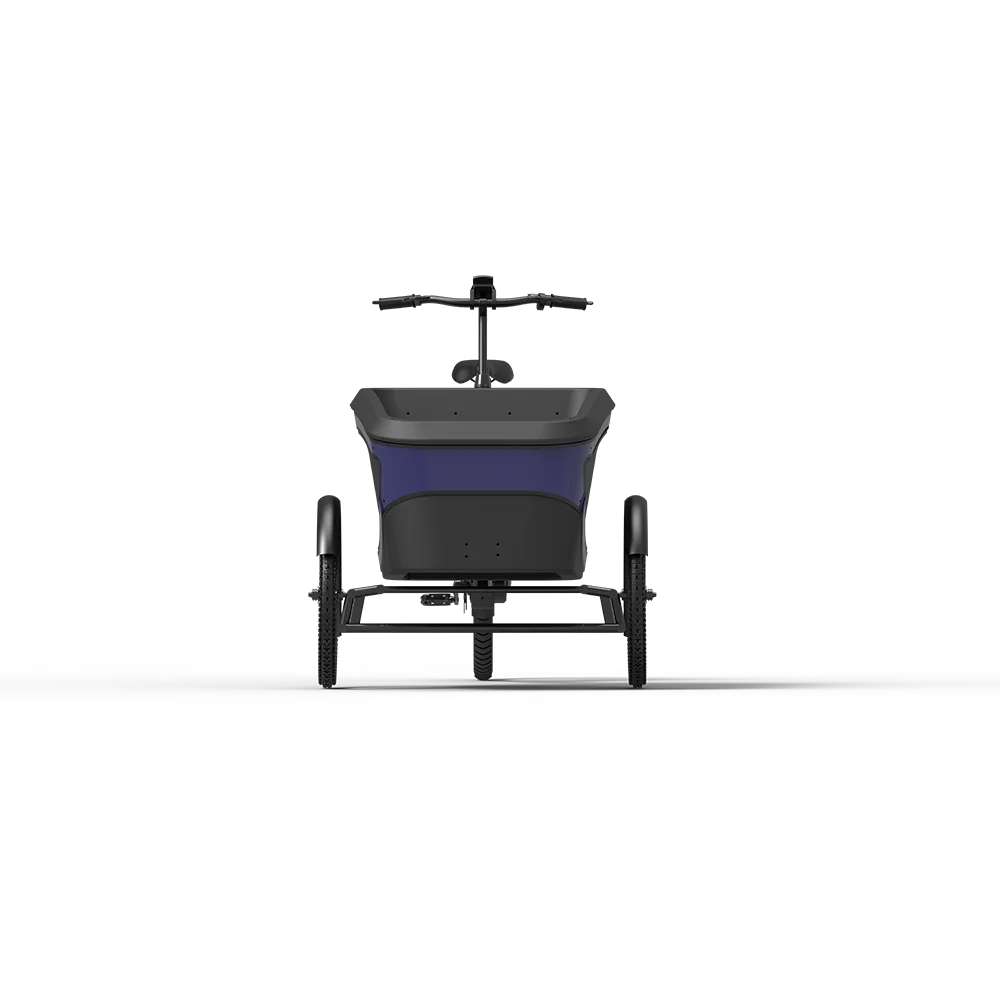 electric bike 3 wheels cargo electric ebike e-cargo family e bicycle epp foam box for adults carry children and baby