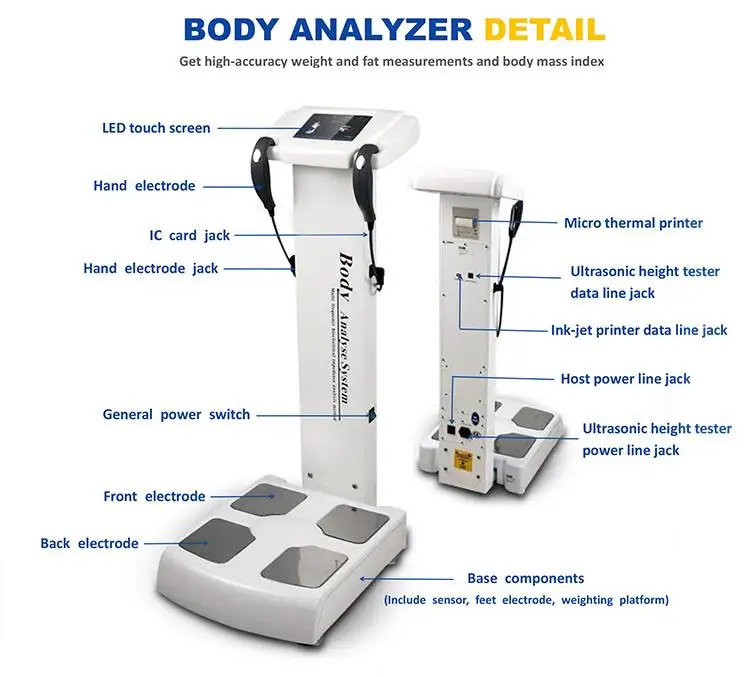 Professional body fat analyzer composite multi-frequency bioelectrical impedance analysis for salon