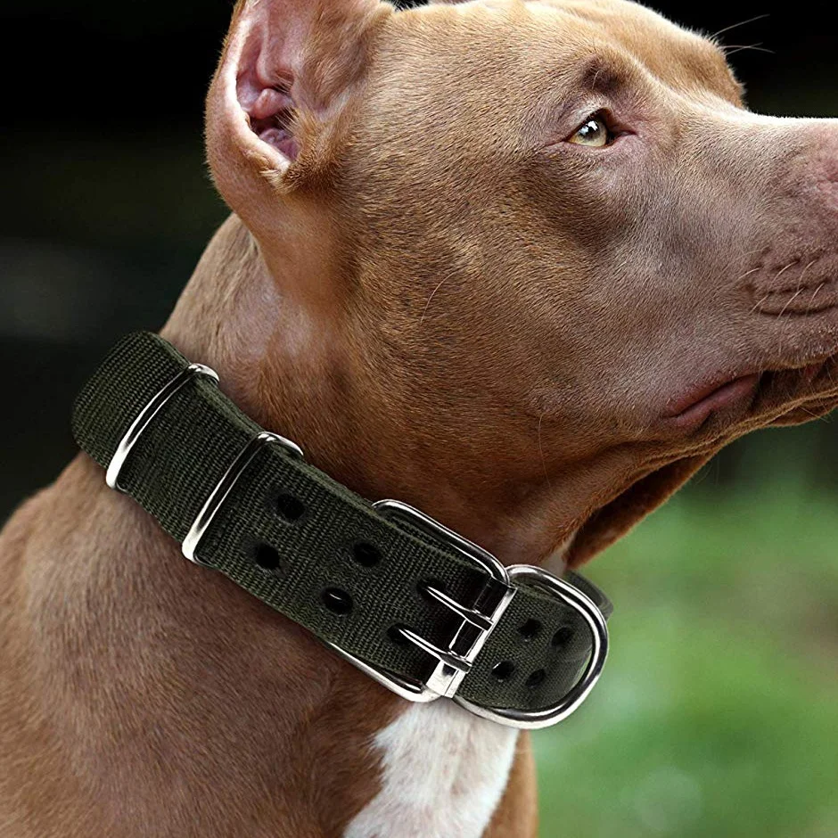 Bull dog large fashion heavy duty nylon tactical training metal fashion dog collar
