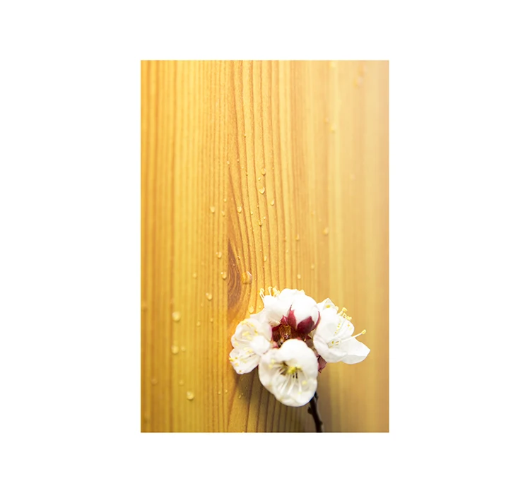 Factory Price Wholesale hpl laminate wall cladding  decorative panel outdoor wood