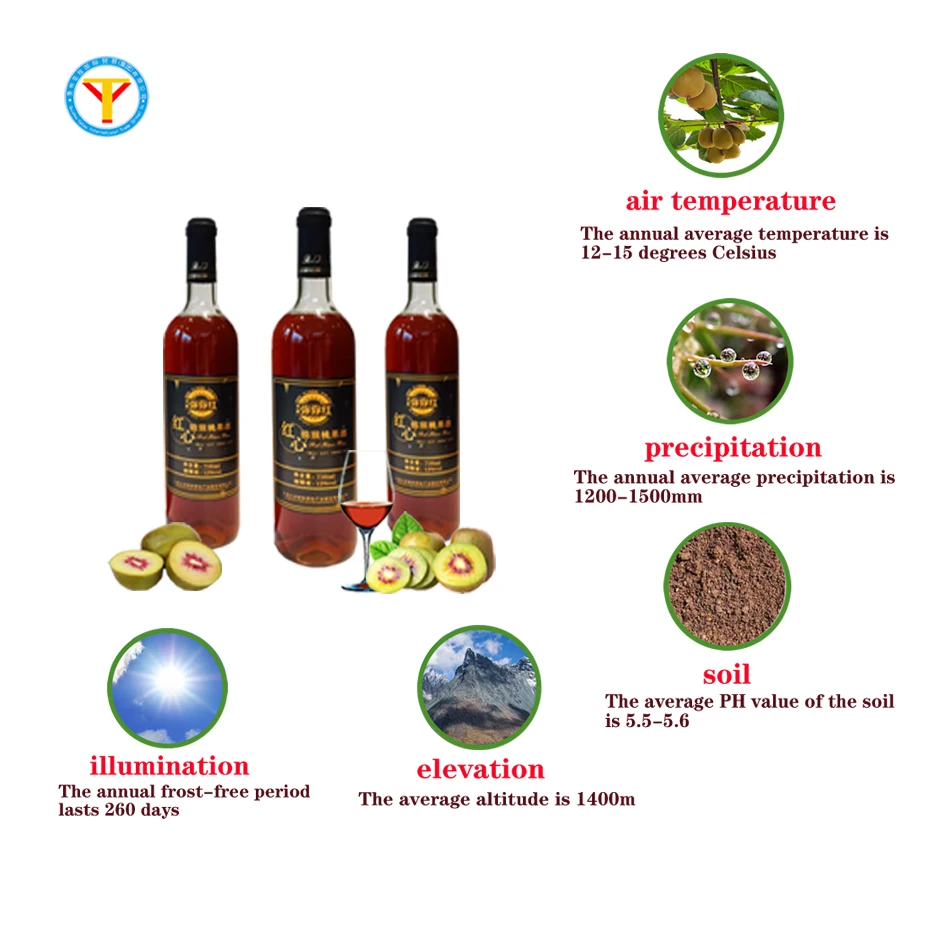 
The best sales of fresh kiwi fruit wine drink 738ml bottle packaging health food, first-class quality 