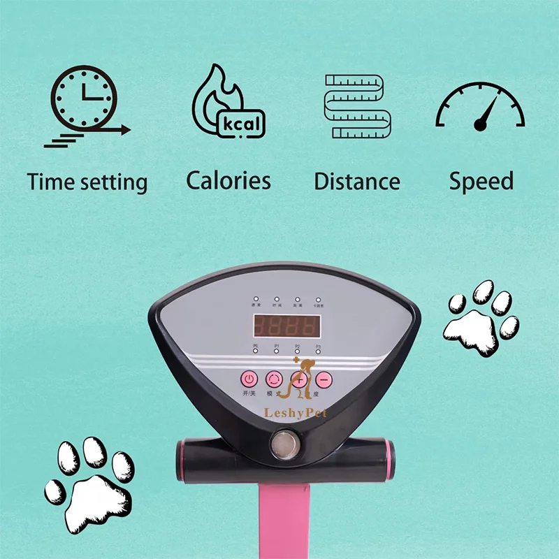 Беговая дорожка для собак