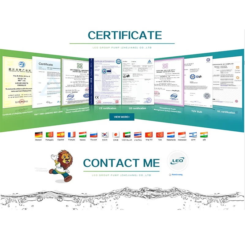 LEO DSKP Series AC/DC Inverter Pumping Solution Experience Solar Pump Controller Inverter DC Solar Pump Inverter