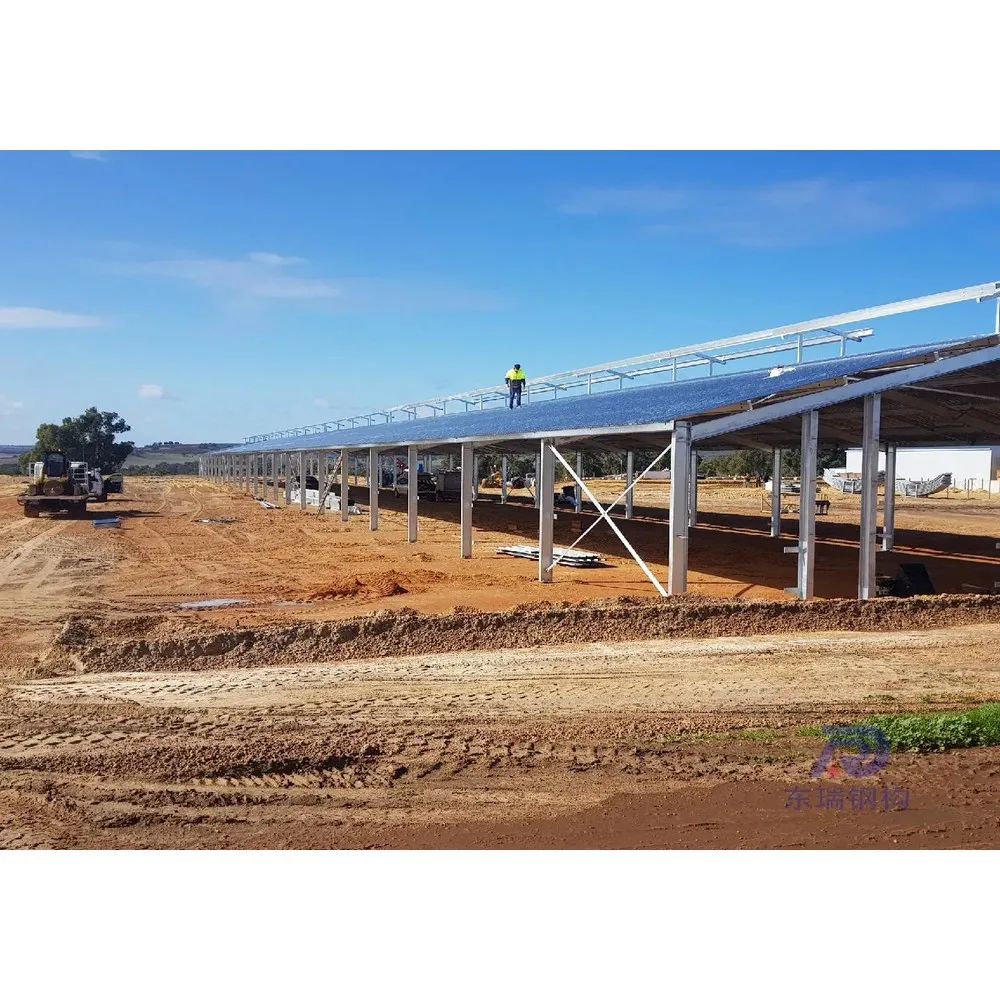 simple design steel structure sheep goat farming building in Australia