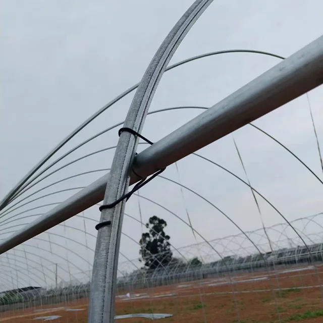 High quality large Single-Span Vegetable Film Greenhouse for Agricultural Use