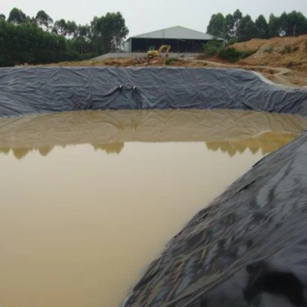 Водонепроницаемый Гладкий геомембран для пруда