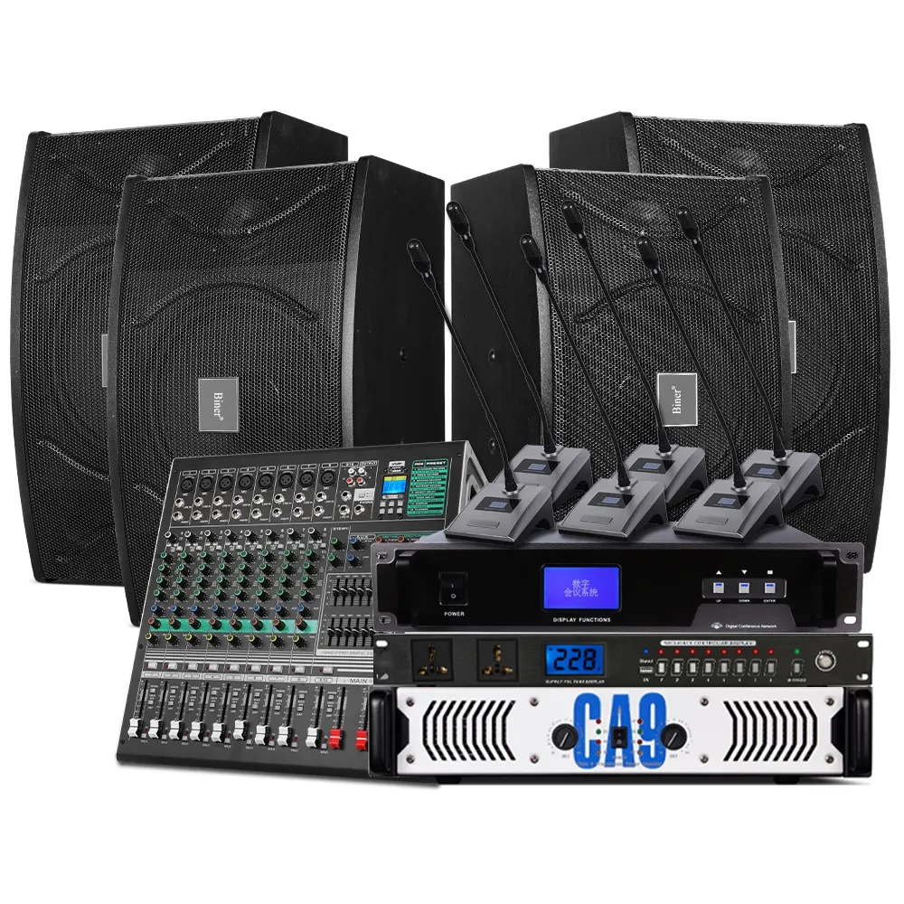 Biner D100C профессиональная Портативная звуковая система для конференций 10-дюймовое металлическое устройство в черных динамиках больших