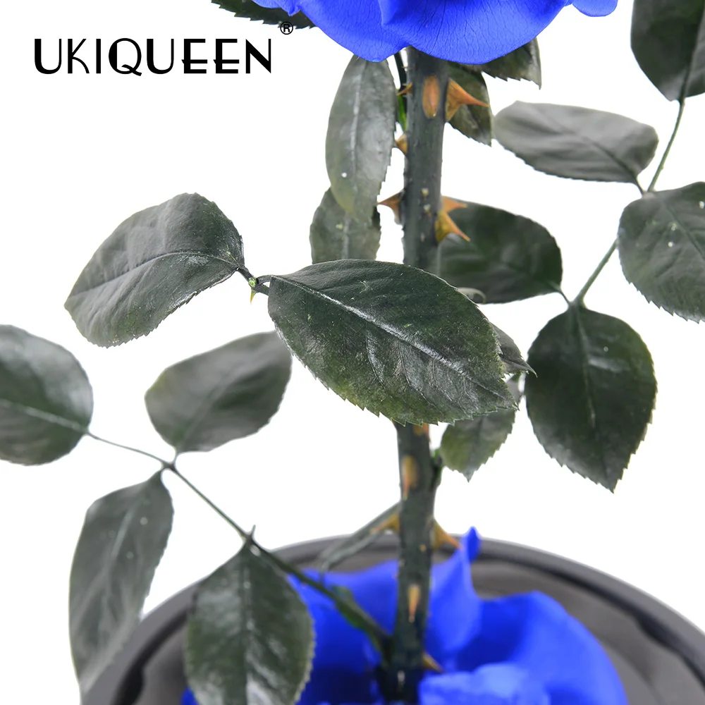 Завод UKIQUEEN оптовая продажа долговечный неувядающий цветок сохраненная Роза в стеклянном
